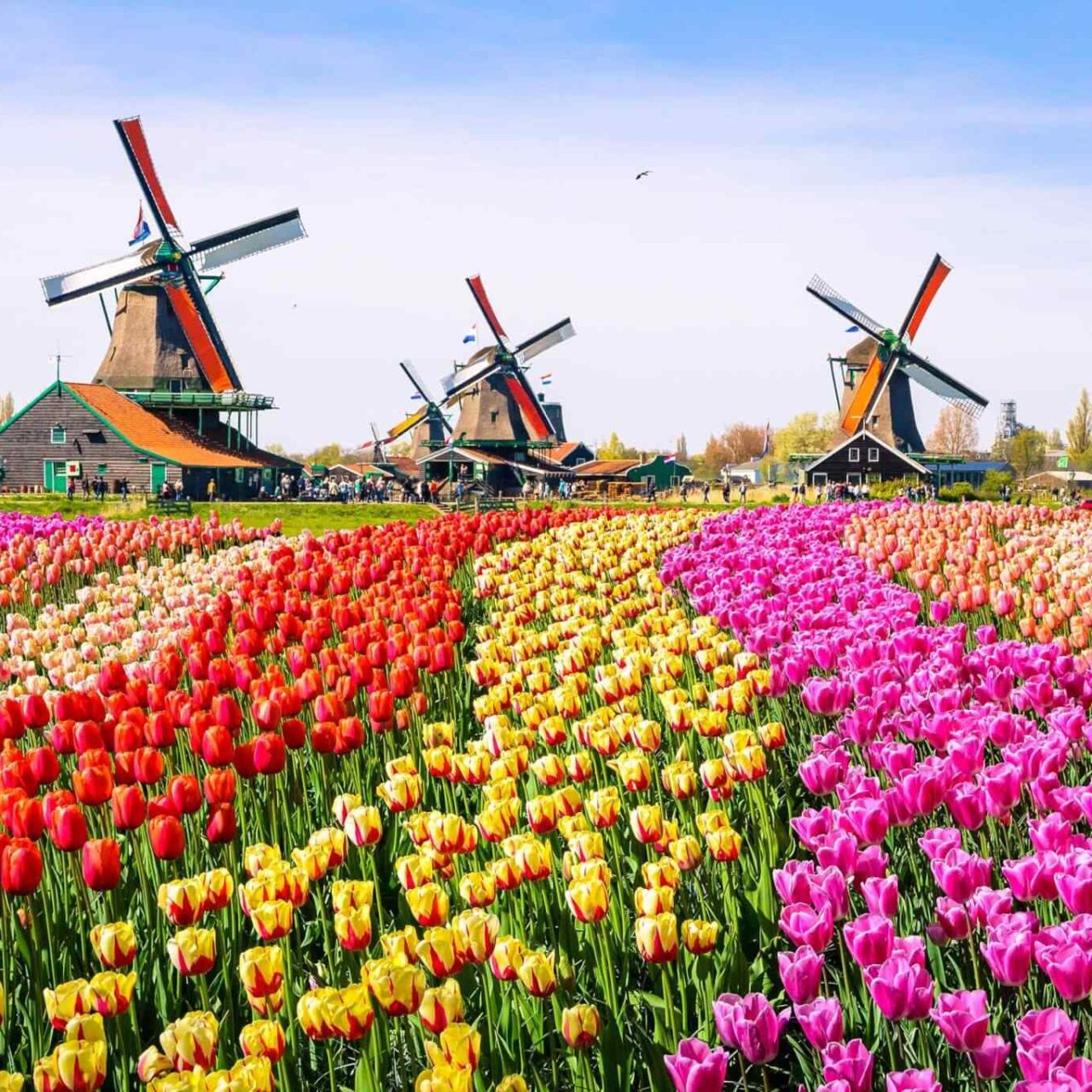 https://camp.skyrainbow.kz/wp-content/uploads/2018/09/destination-netherlands-01-1280x1280.jpg