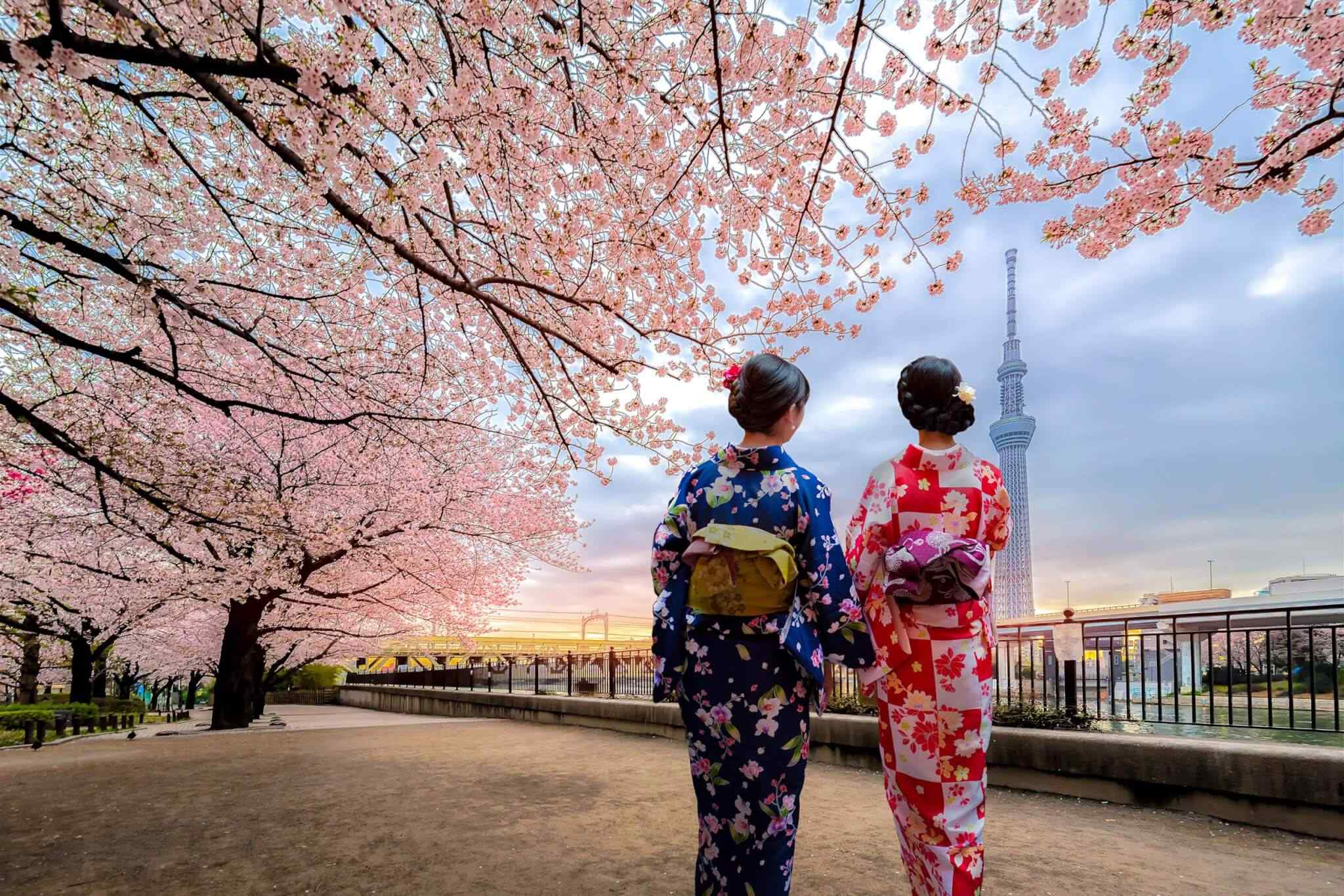 https://camp.skyrainbow.kz/wp-content/uploads/2018/09/destination-tokyo-03.jpg