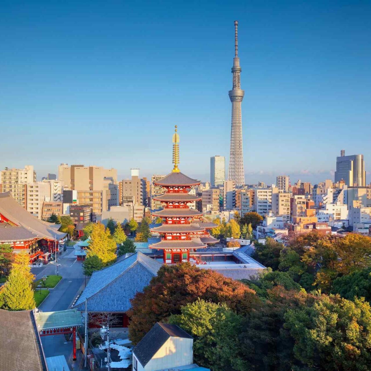 https://camp.skyrainbow.kz/wp-content/uploads/2018/09/destination-tokyo-04-1280x1280.jpg