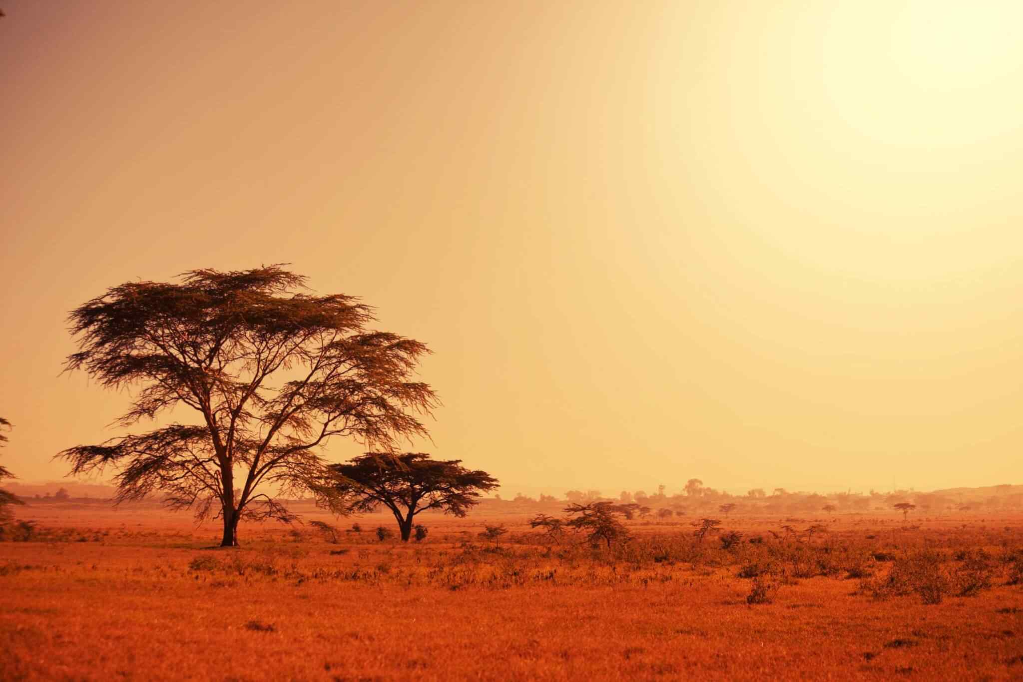 https://camp.skyrainbow.kz/wp-content/uploads/2018/09/tour-africa-02.jpg