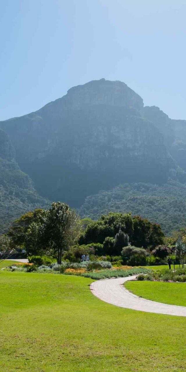 https://camp.skyrainbow.kz/wp-content/uploads/2018/09/tour-capetown-03-640x1280.jpg