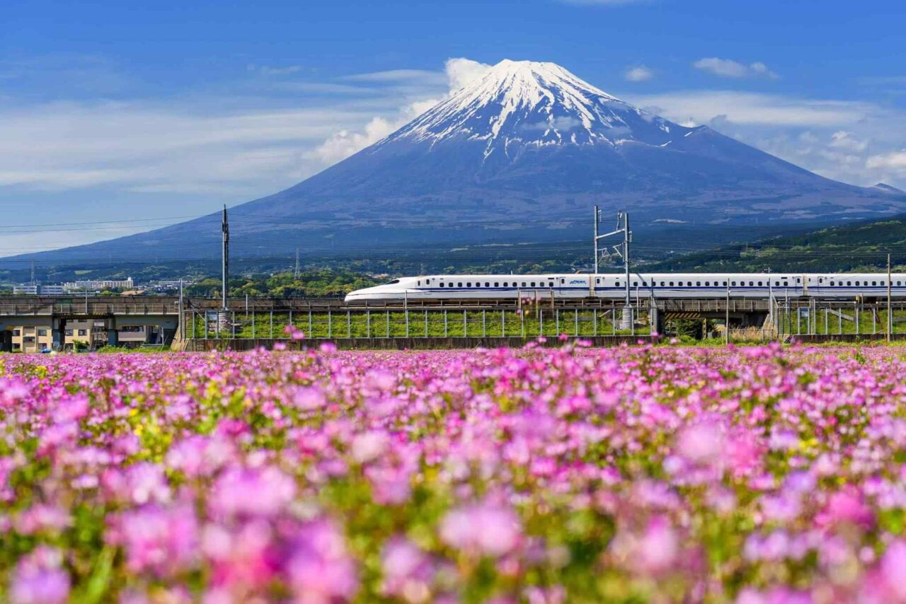 tour-osaka-04 https://camp.skyrainbow.kz/wp-content/uploads/2018/09/tour-osaka-04-1280x854.jpg